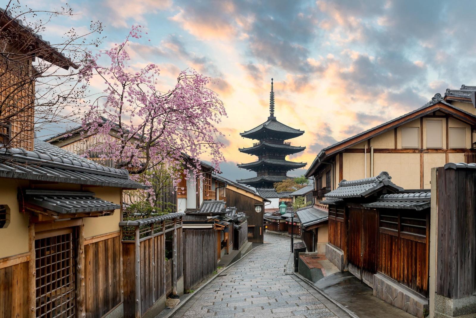 京都奈良定制私家导览一日游主图