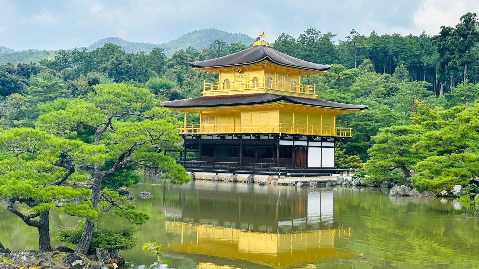 京都奈良定制一日游场景 05