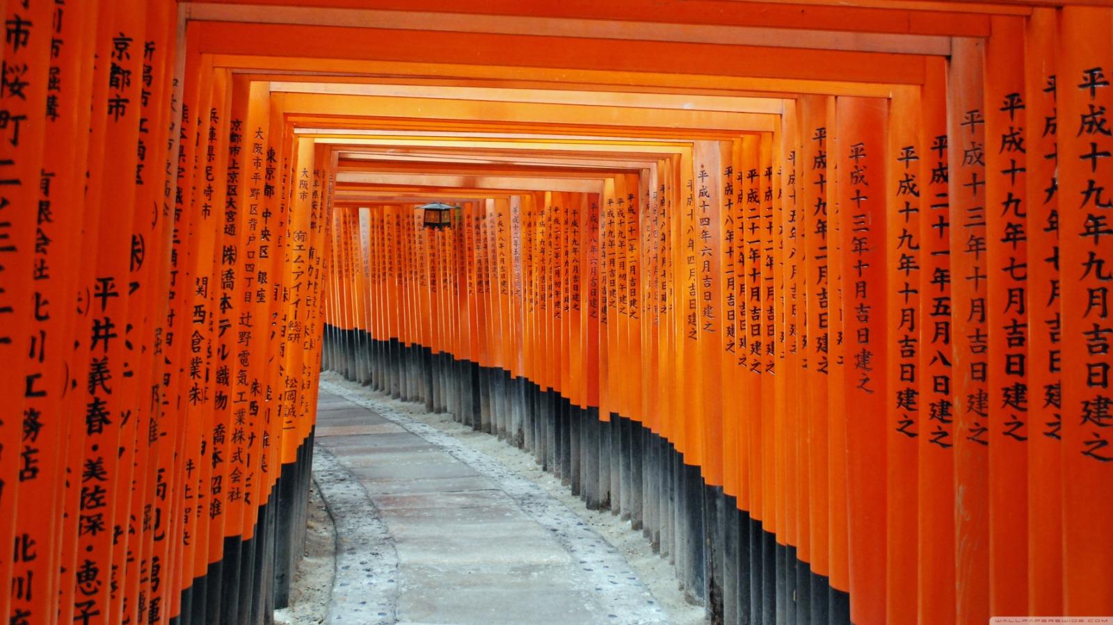 京都奈良定制一日游场景 07