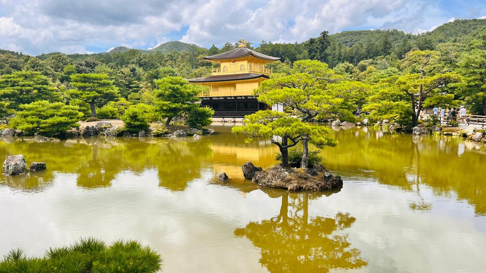 京都奈良定制一日游场景 09