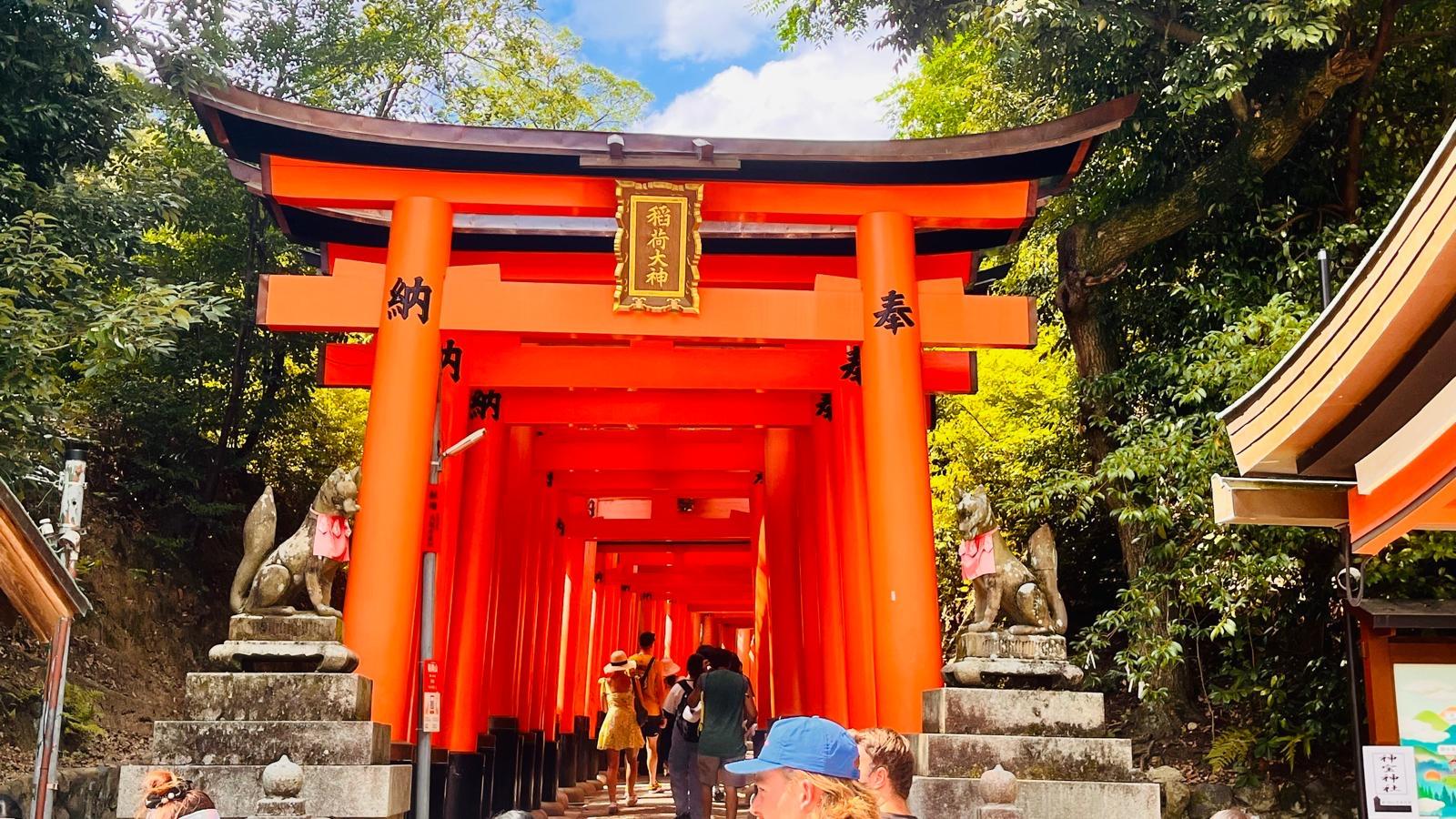 京都奈良定制一日游场景 10