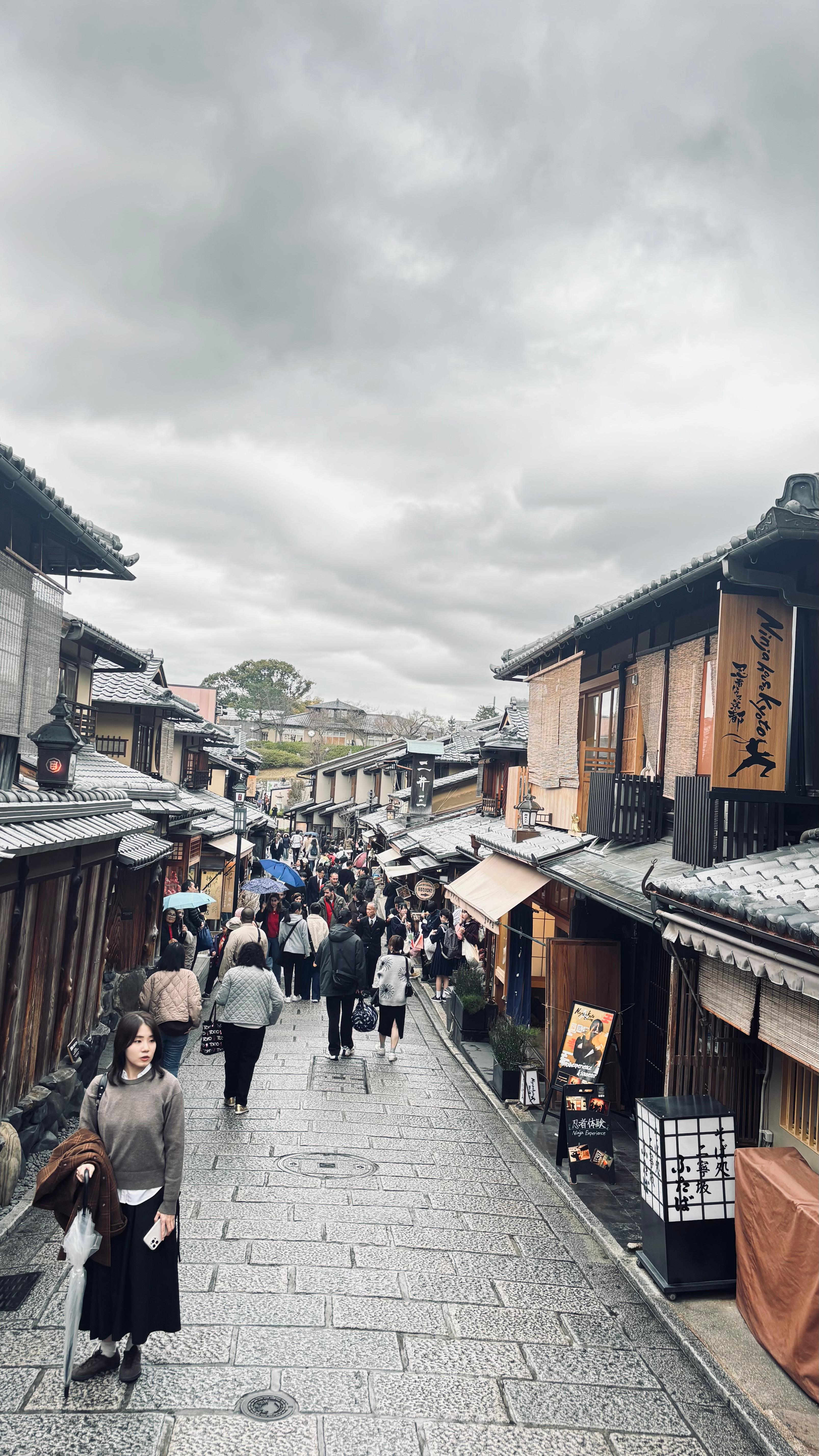 京都奈良定制一日游场景 13