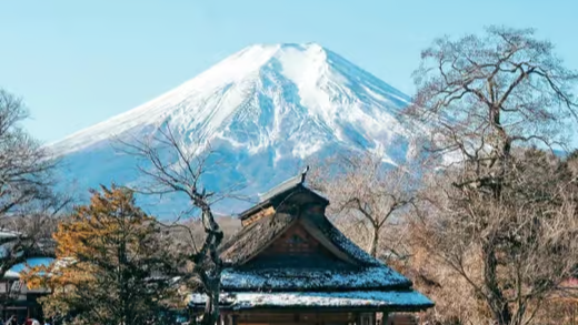 Mount Fuji and Lake Yamanaka tour scene 02