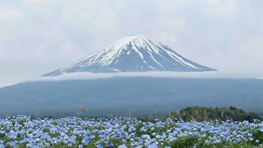 Mount Fuji and Lake Yamanaka tour scene 08